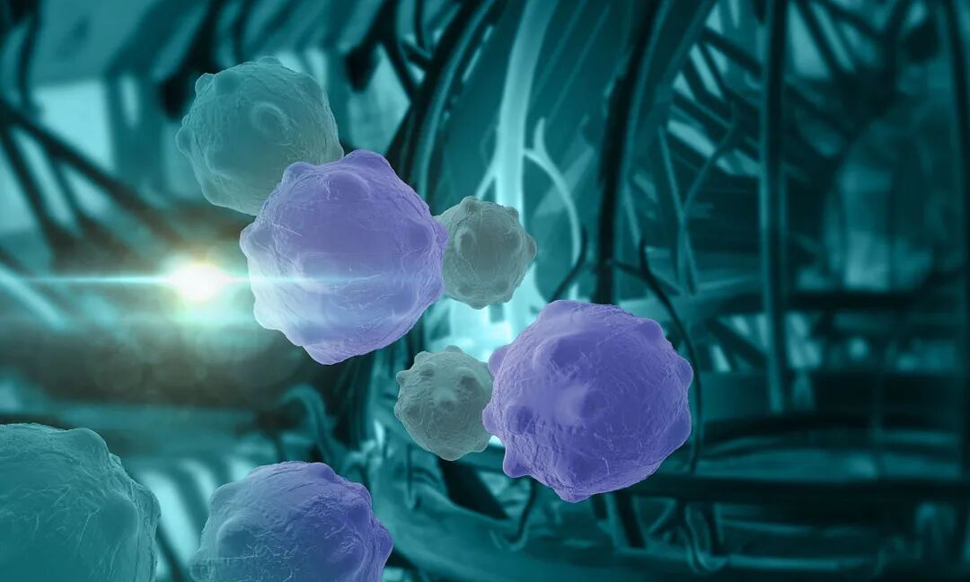 176768051371173234.jpg f6acb7405d55e6ff926d5004e1bb2ca1.jpg